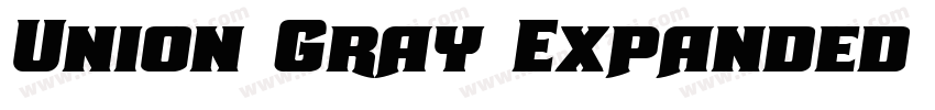 Union Gray Expanded Italic字体转换